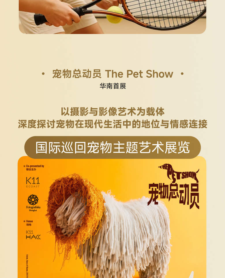 Pakej Sukan Tepi Pantai Shenzhen K11 ECOAST