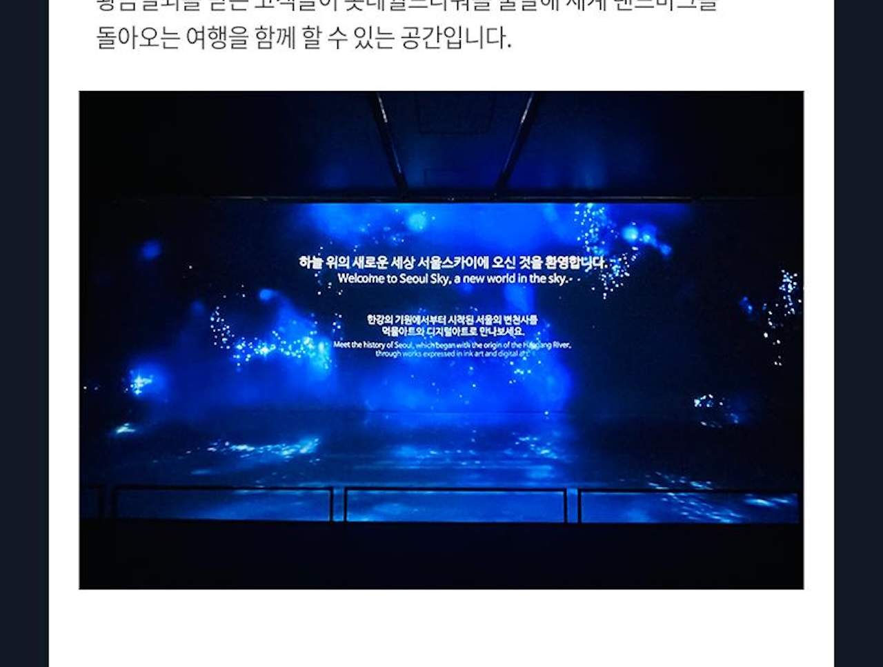 롯데월드타워 서울스카이 전망대 입장권