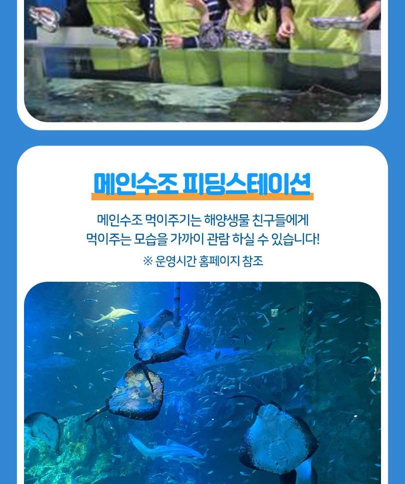 서울스카이 + 롯데월드 아쿠아리움 입장권