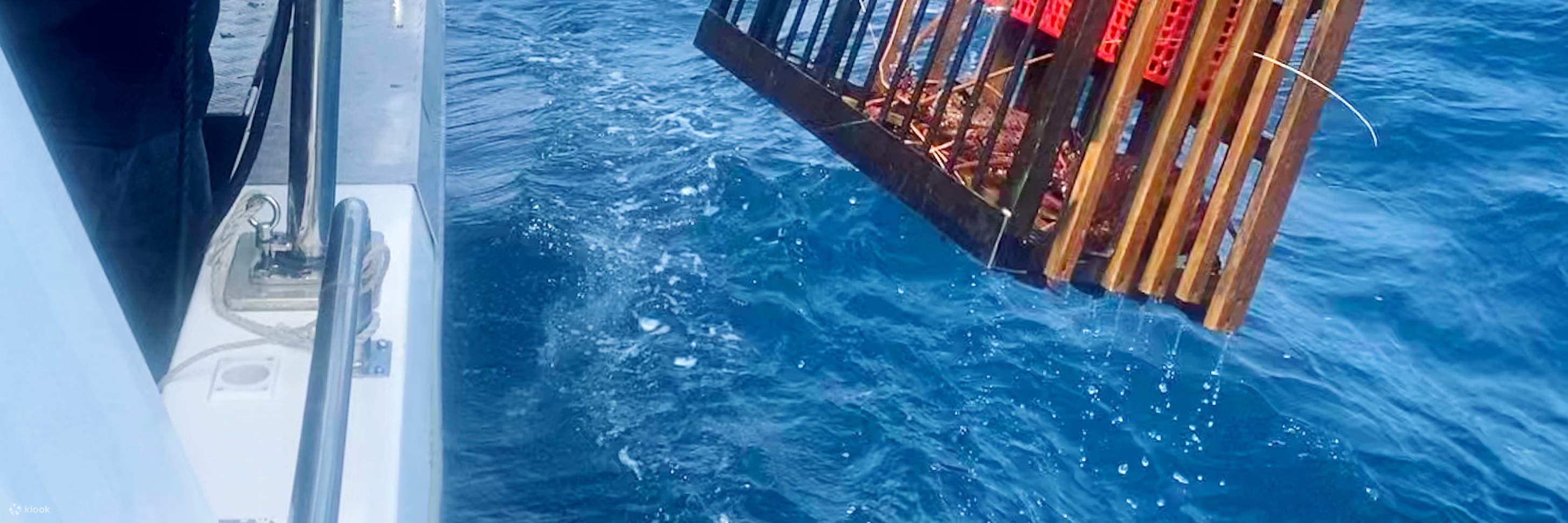 曼杜拉野生海鮮體驗