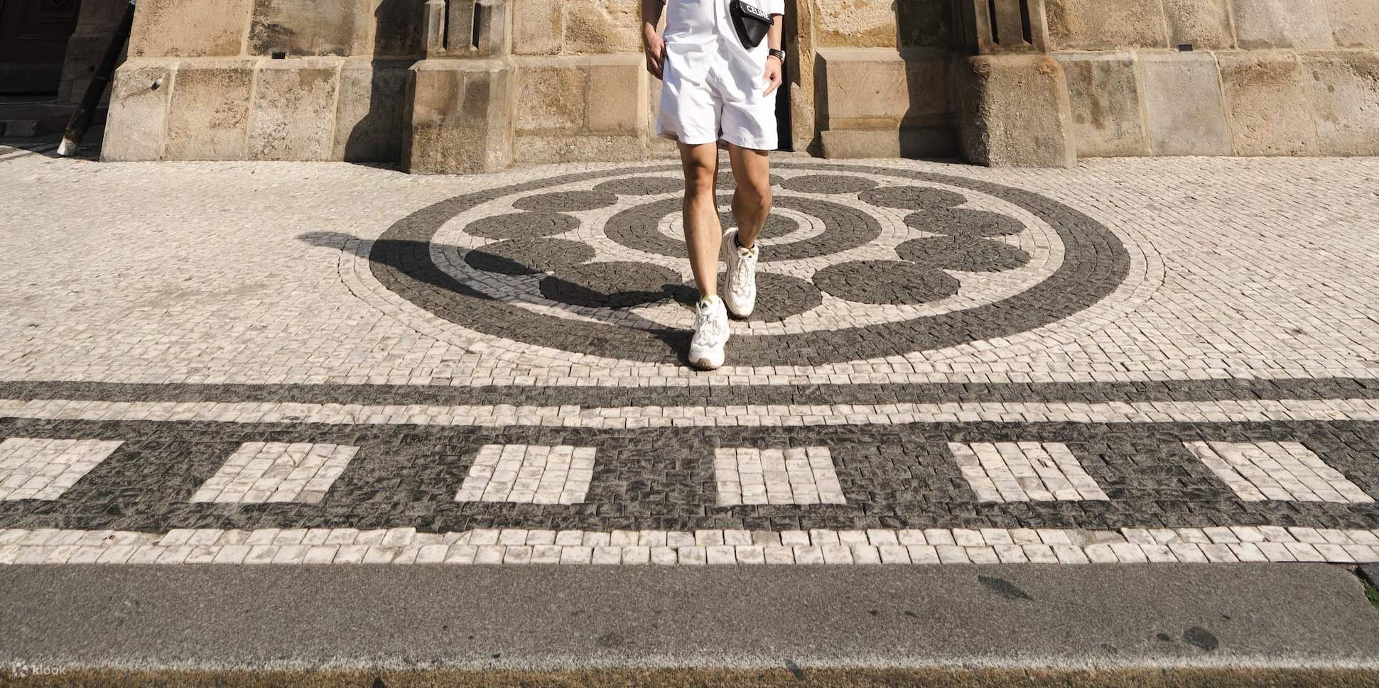 Exhibición del Portafolio del Fotógrafo