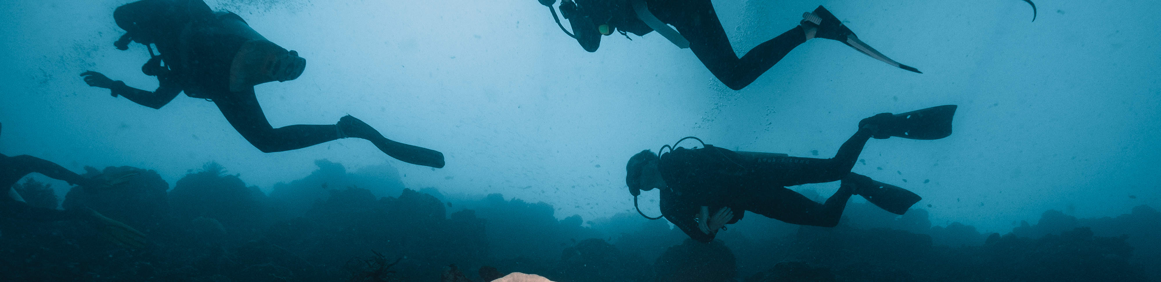 PADI Advanced Open Water Diver (E-learning)