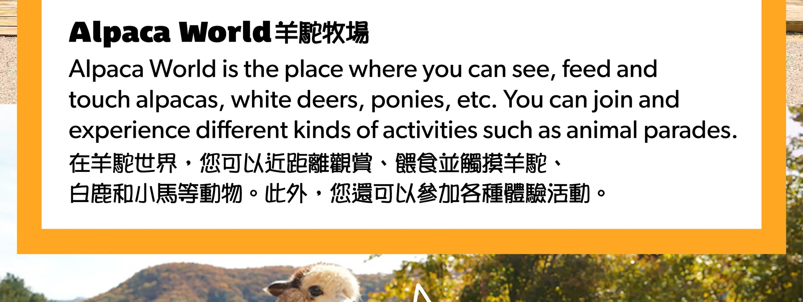 首尔 - 羊驼世界往返班车