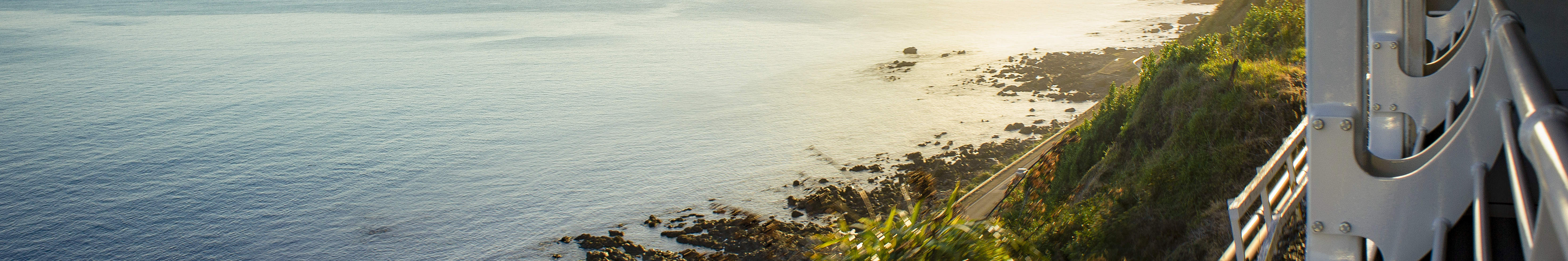 Atraviese los impresionantes paisajes de la región volcánica de la Isla Norte en su aventura en tren