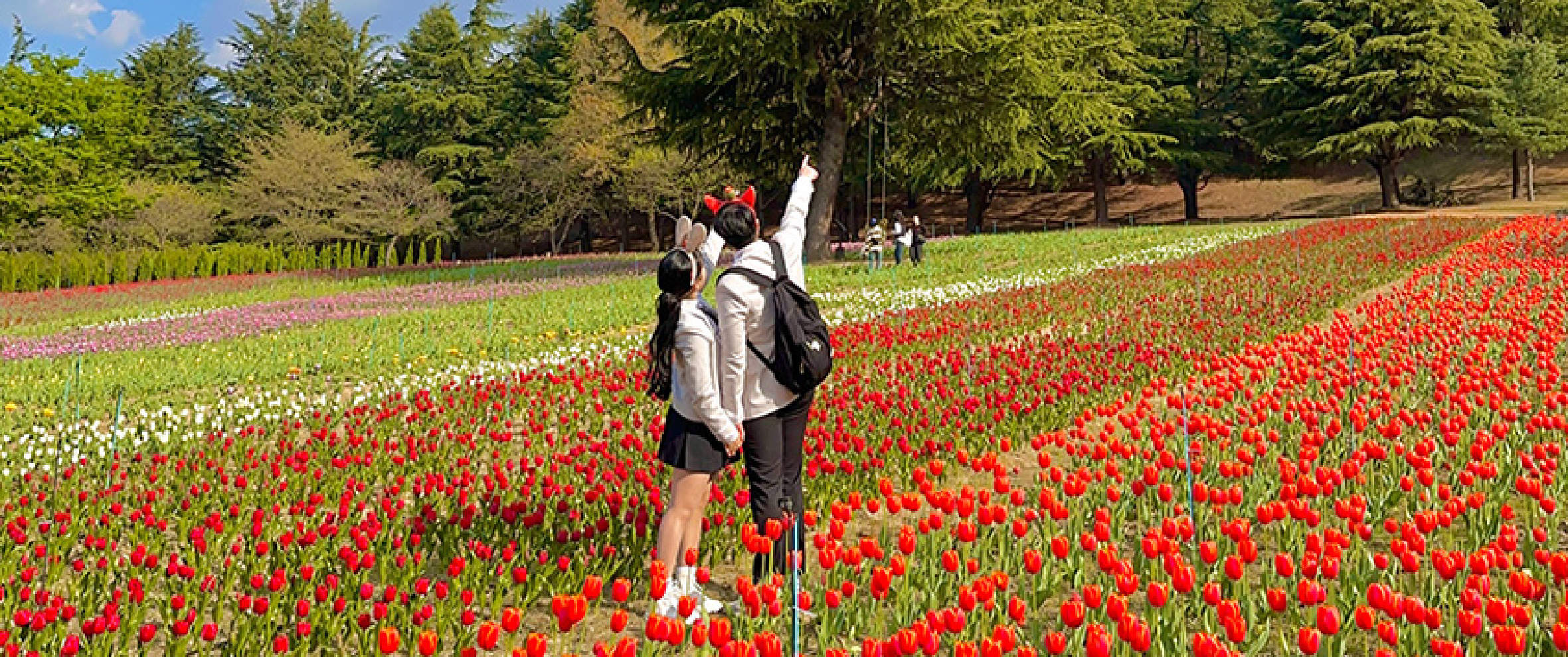 Daegu E-World Day Tour with Admission & Transportation from Busan ...