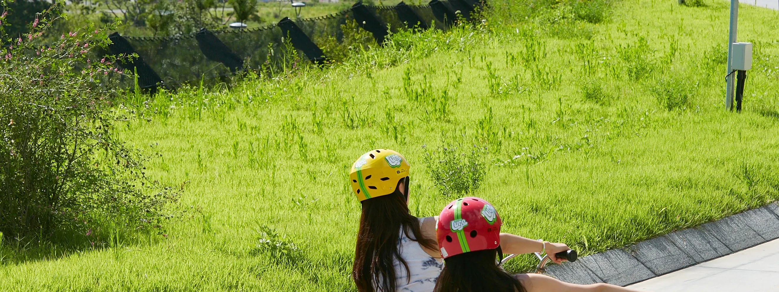 blue sky and green land with luge