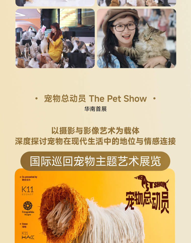 深圳K11 ECOAST 宠物治愈套餐