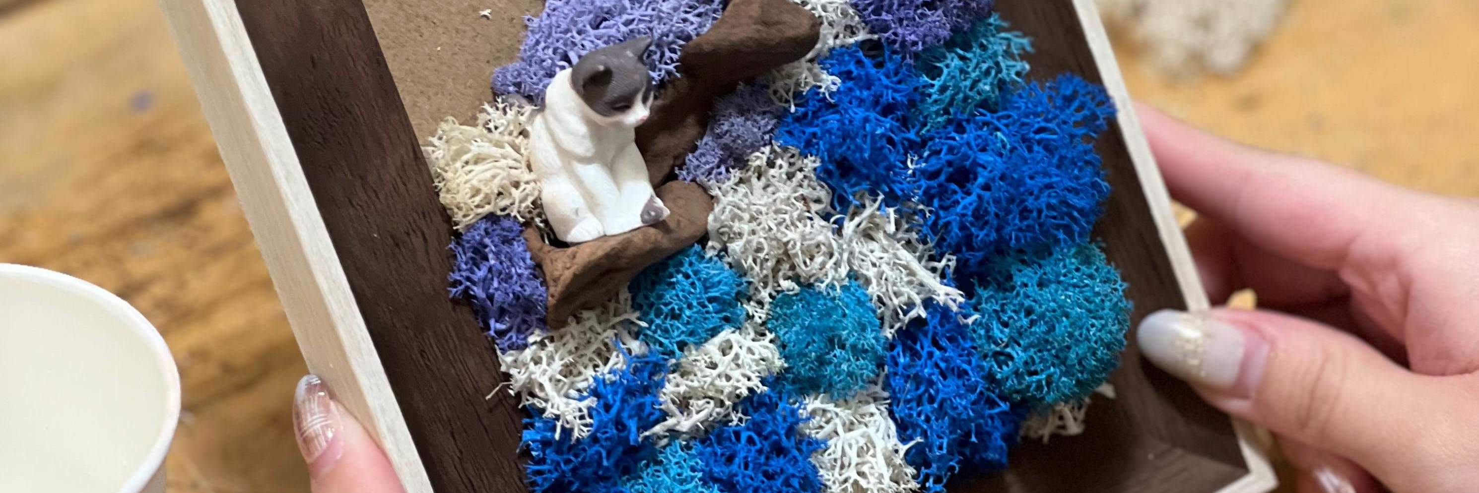 モウセンゴケ 原画 現代アート 絵画 画家 多肉植物 苔 キモカワ ポップ 創作 プリザーブドモスフレームワークショップ：自分だけの苔アートを作ろう