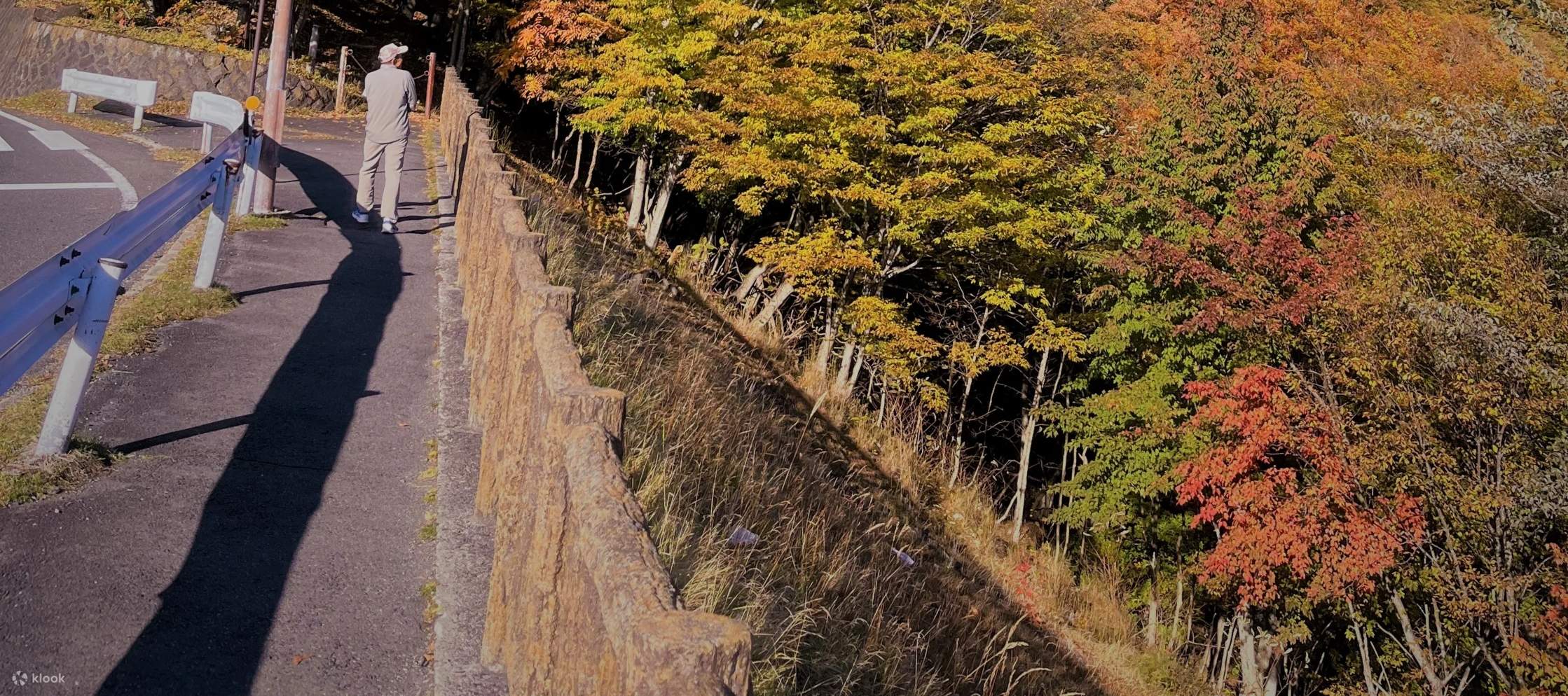 Билет на канатную дорогу Акэтидайра (Никко Второй Ирохадзака, Тотиги)