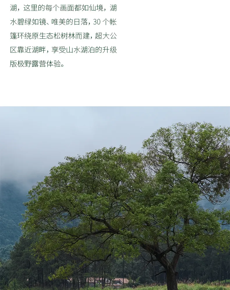 积庆里仙湖Go Safari露营
