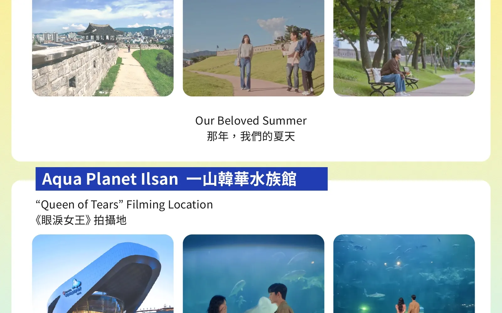 私人定製韓劇之旅：首爾包車及司機服務（南怡島 / 羊駝樂園 / 束草 / 江陵）