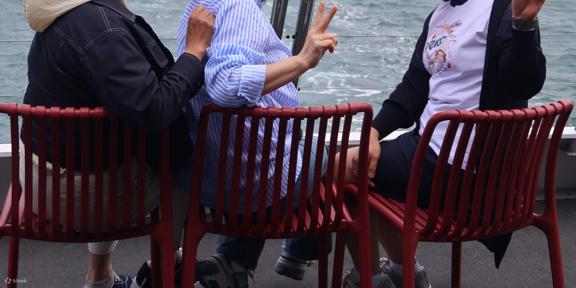 Croisière touristique avec thé Devonshire et commentaires en direct