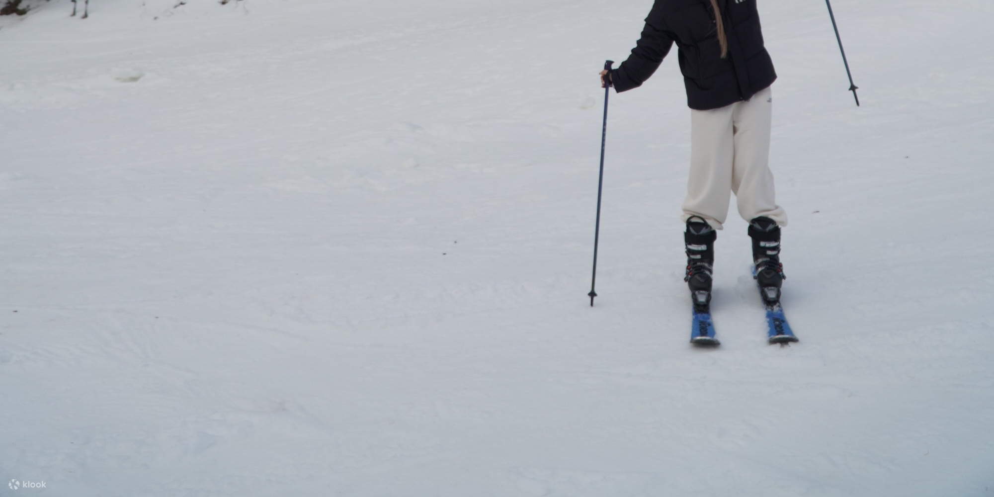 龍平滑雪場專業教練滑雪 & 單板滑雪私人課程