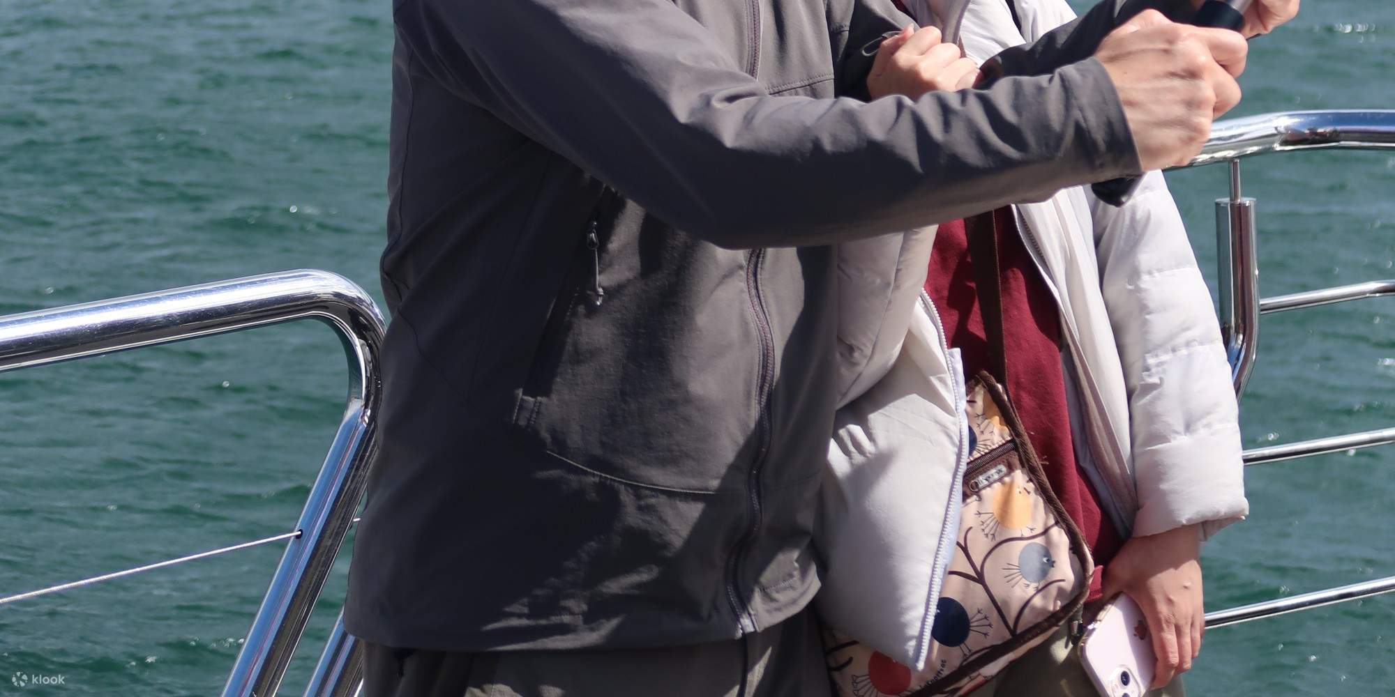 Crociera turistica con tè del Devonshire e commento dal vivo