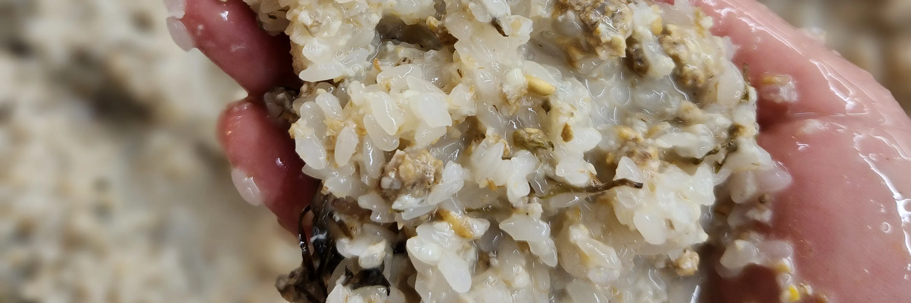 韩国米酒马格利和传统菜肴 Anju