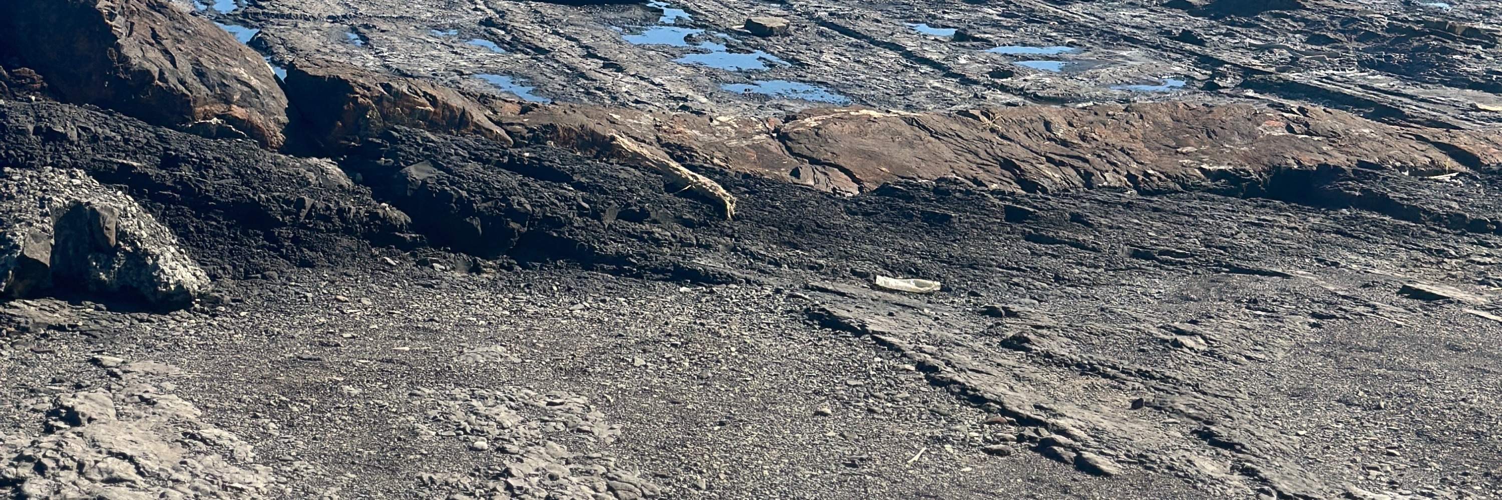 신베이 공랴오: 별이 빛나는 하늘