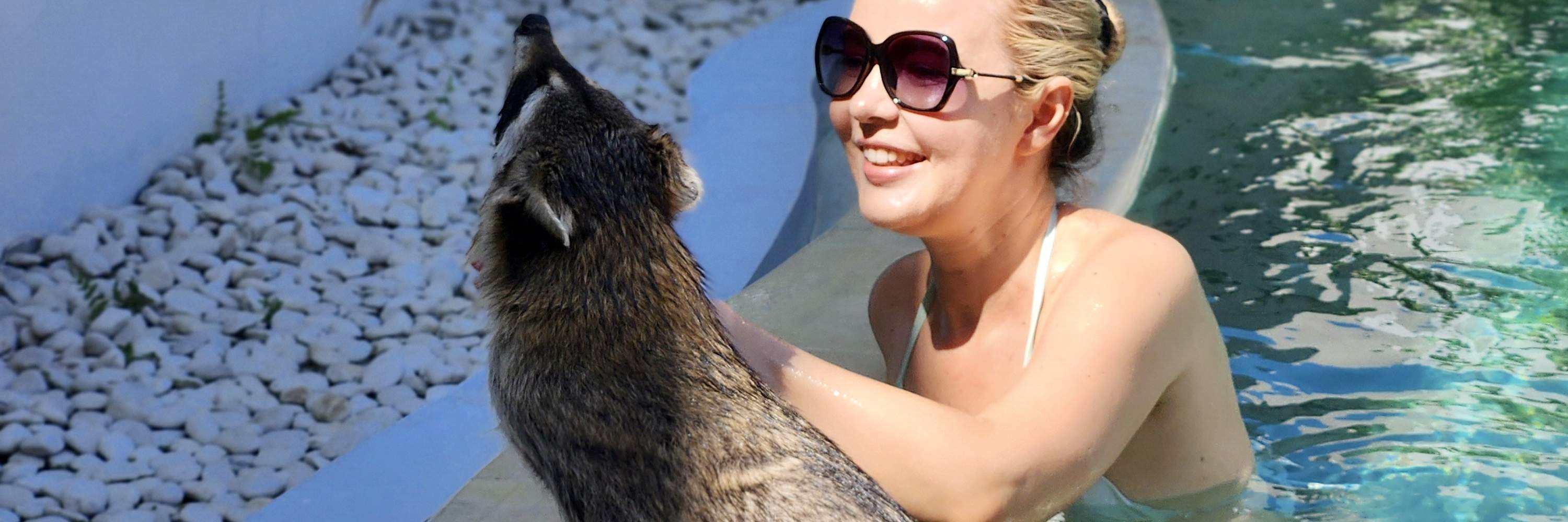 Pet Cafe und Lounge in Bali Pet Nirvana