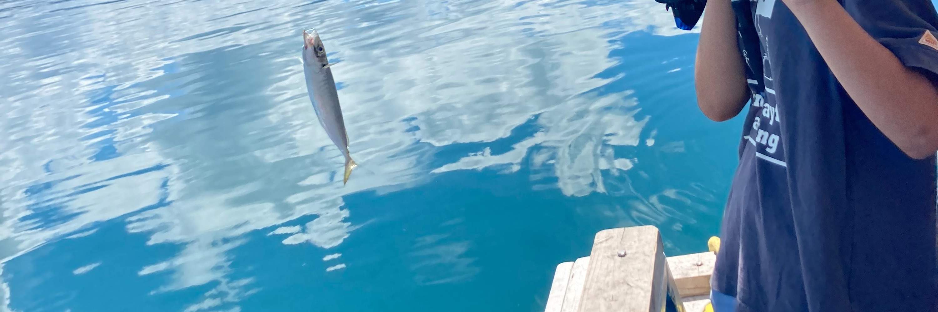 Pelayaran Teluk Kinkowan (Lapangan rakit memancing)