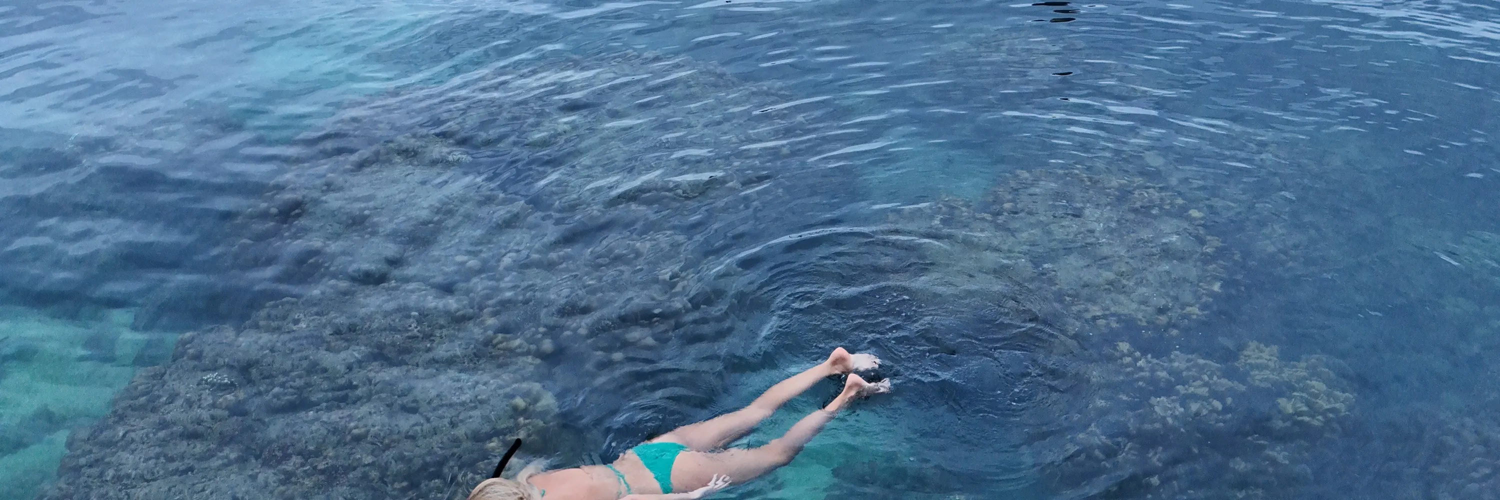 4 岛浮潜日落之旅 + 生物发光夜泳。