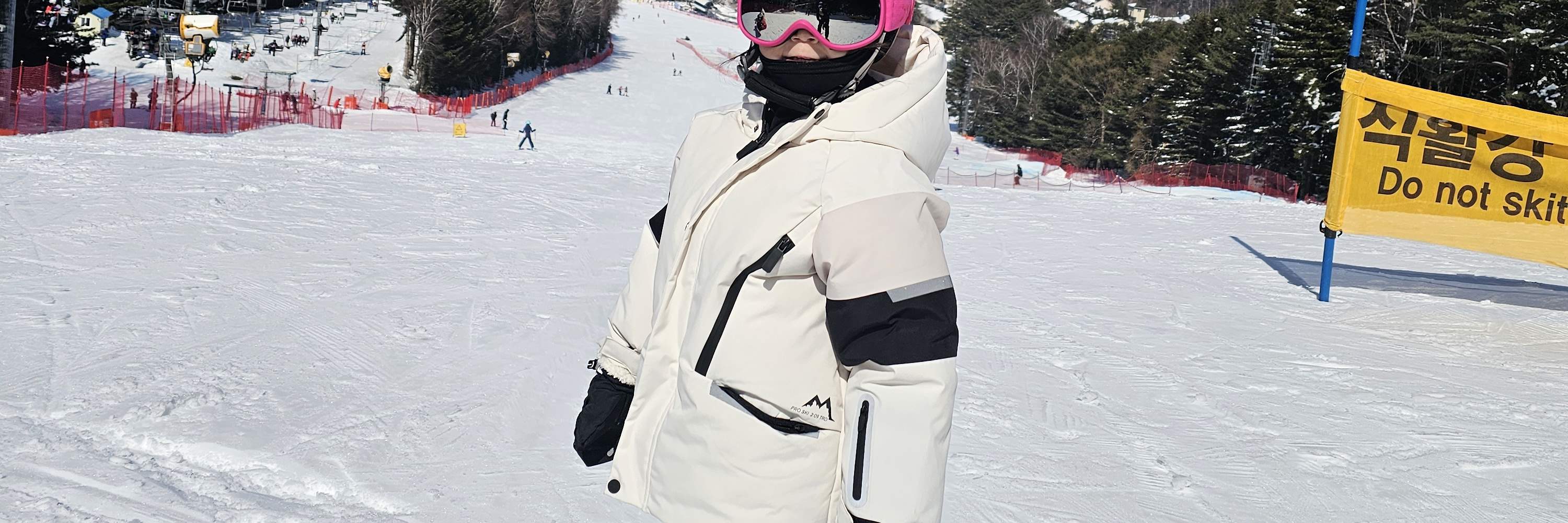 ウェリヒリパーク プライベートスキーレッスンPKG