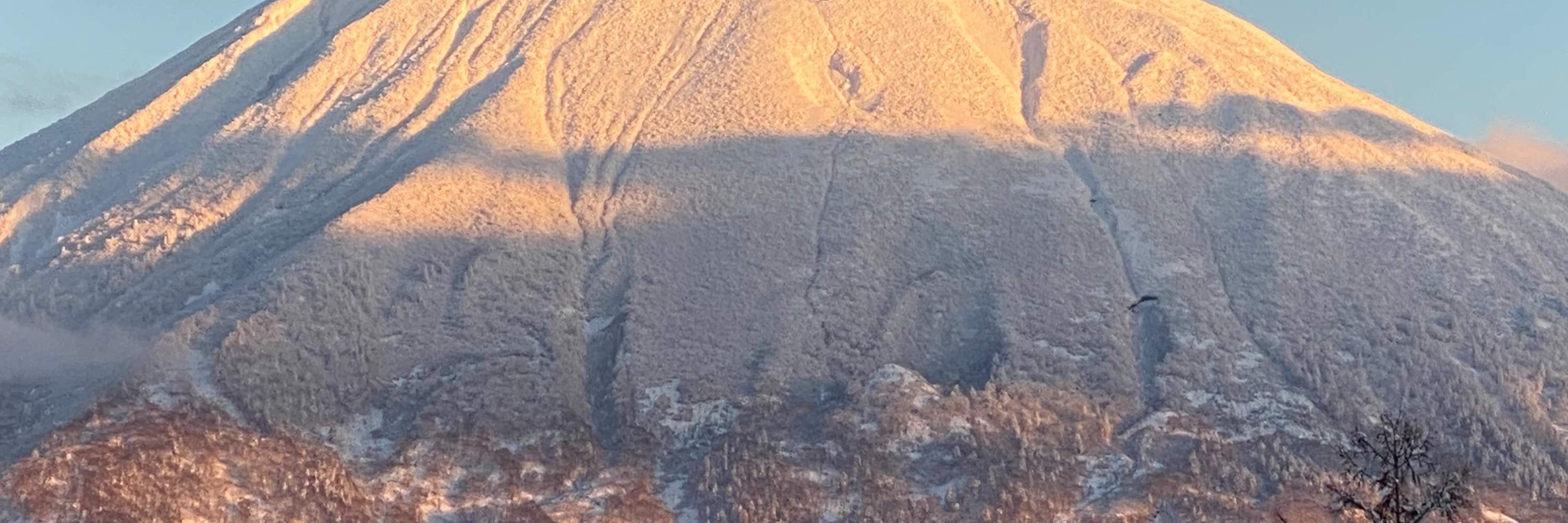 北海道新雪谷的私人滑雪或单板滑雪课程