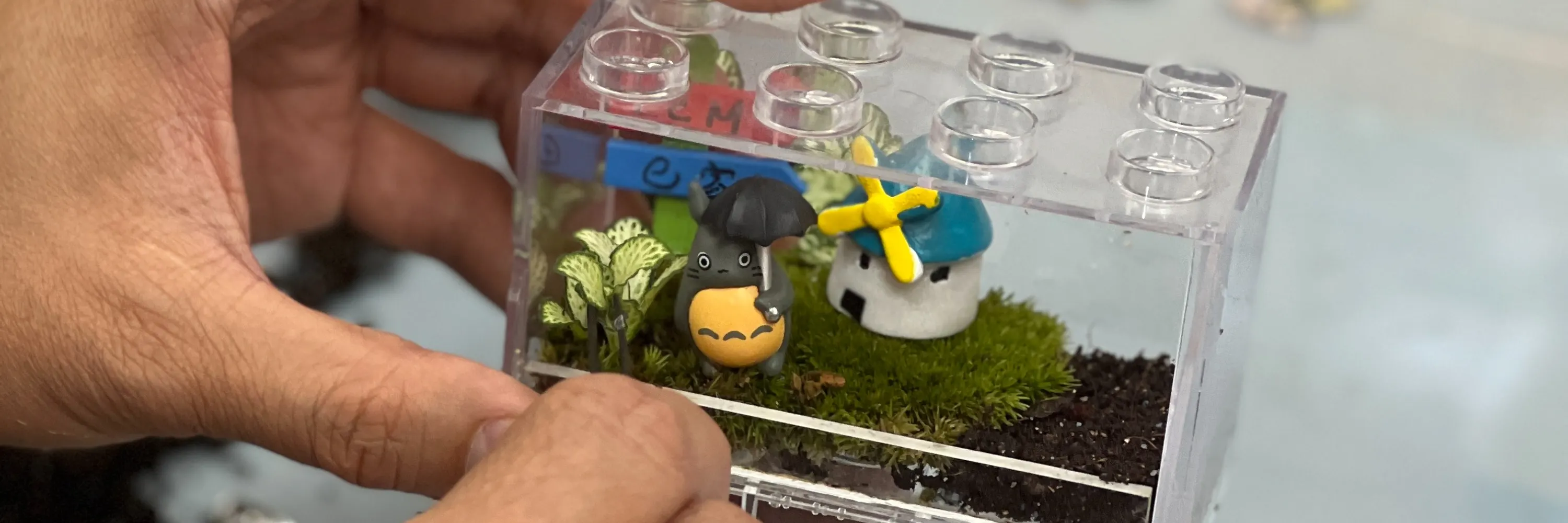 手作班房 - 微景观植物生态工作坊 Mini Terrarium Workshop｜铜锣湾