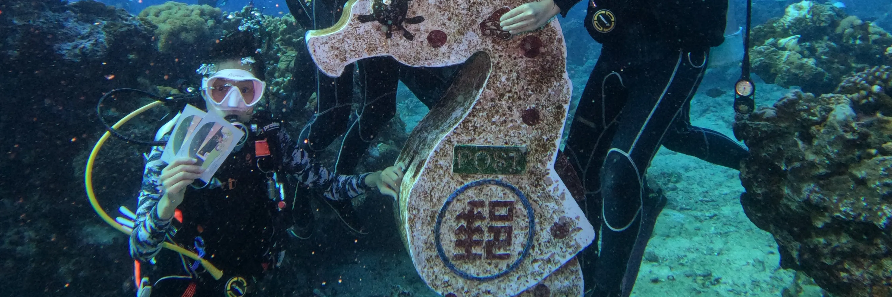 绿岛海湾潜水