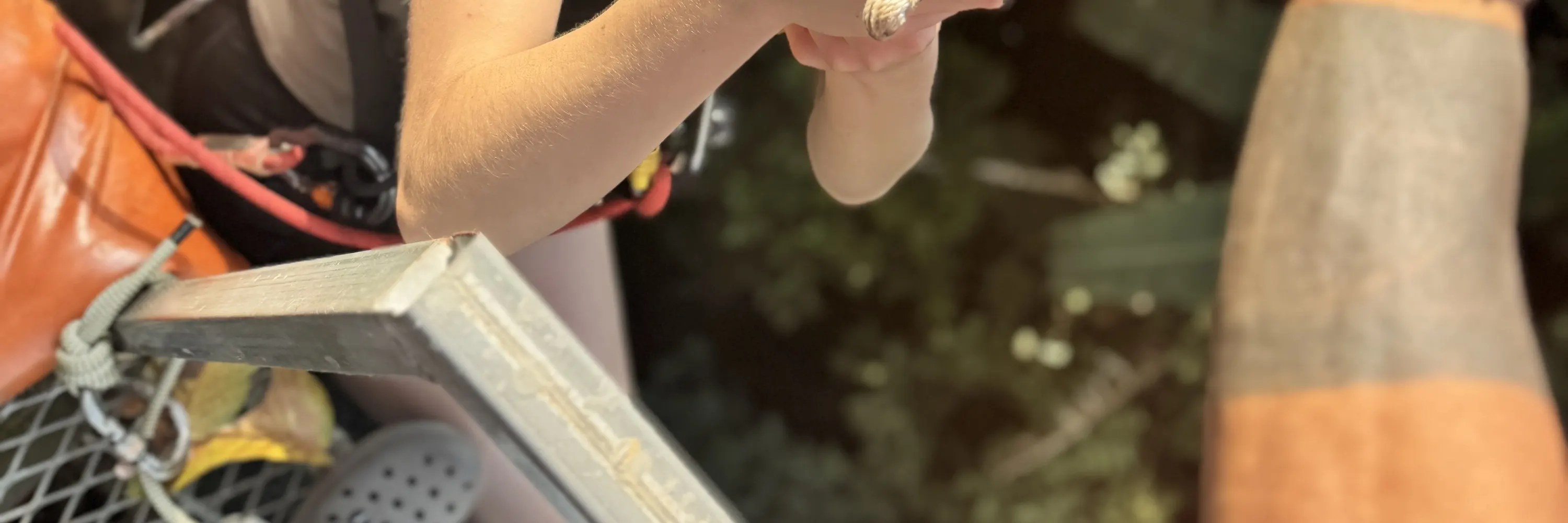 系好安全带，走下来，让丛林美得令人窒息！#ZiplineAdventure
