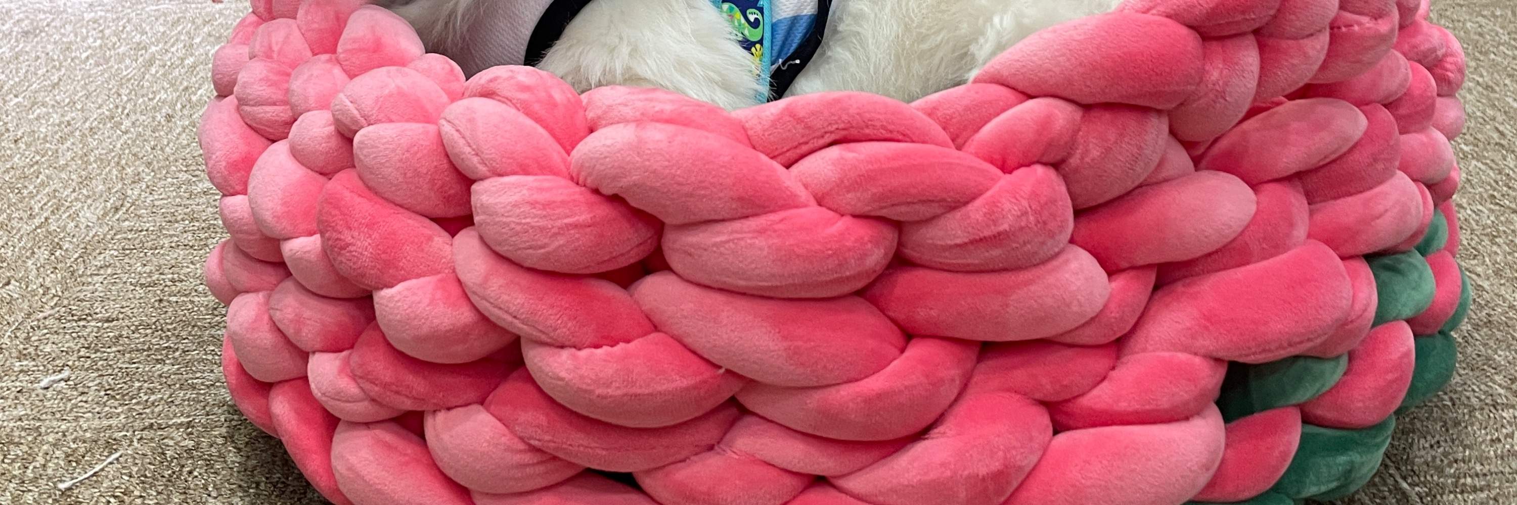 Laboratorio di Letti per Animali Domestici Lavorati a Mano con Filato di Velluto a Singapore