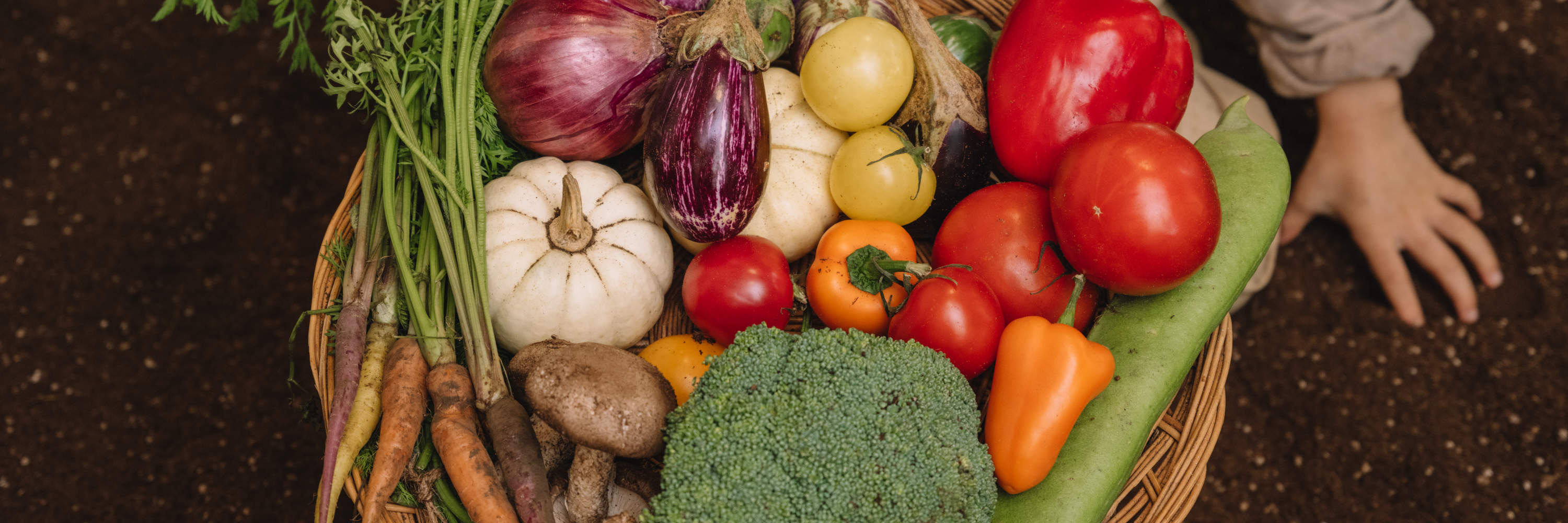 GomawoTOTO: Pengalaman Bermain Tanah di Dalam Ruangan dan Kelas Memasak yang Seru