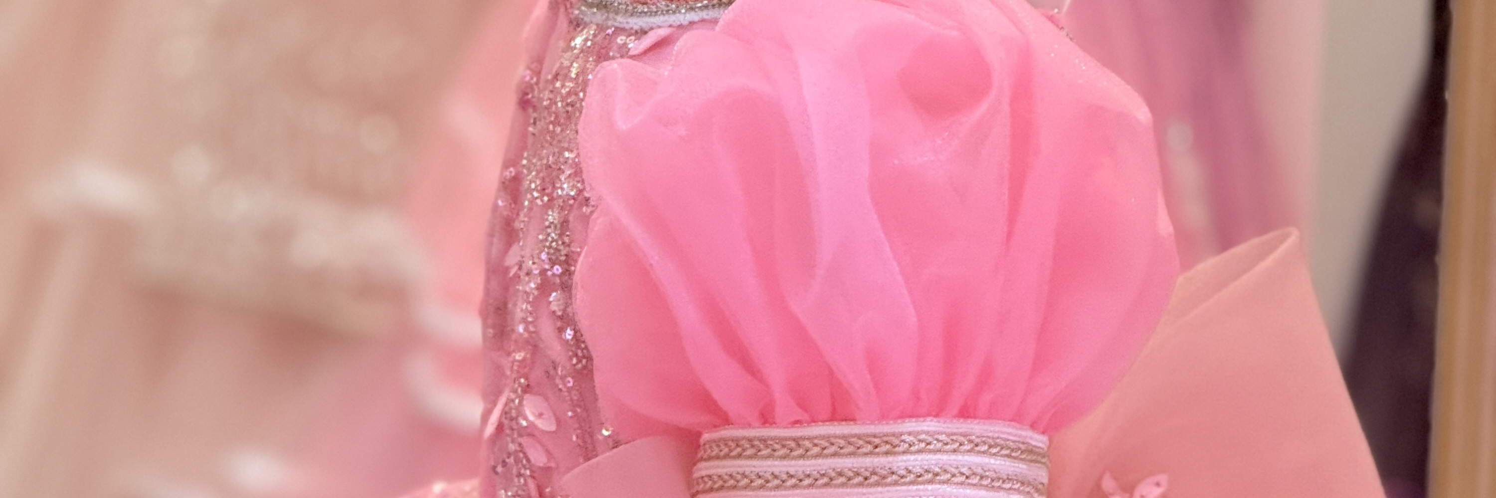 Lotte World SharonCat Dress & Parade Experience, Seoul