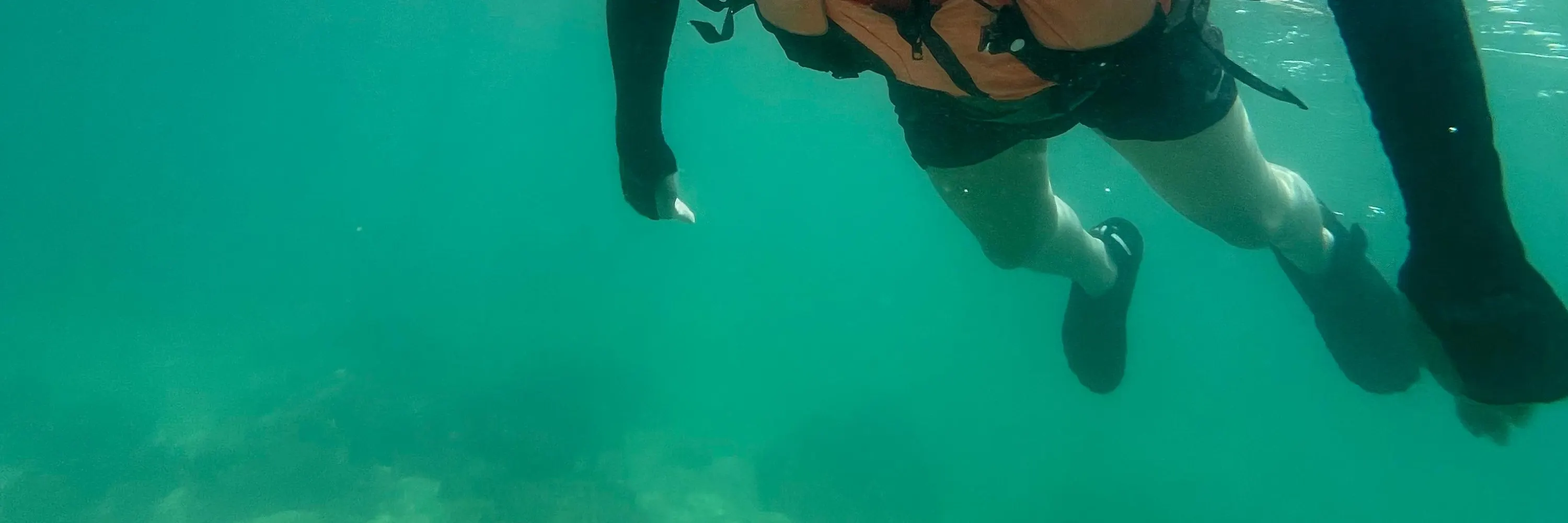 西贡绿蛋岛浮潜独木舟体验一日团