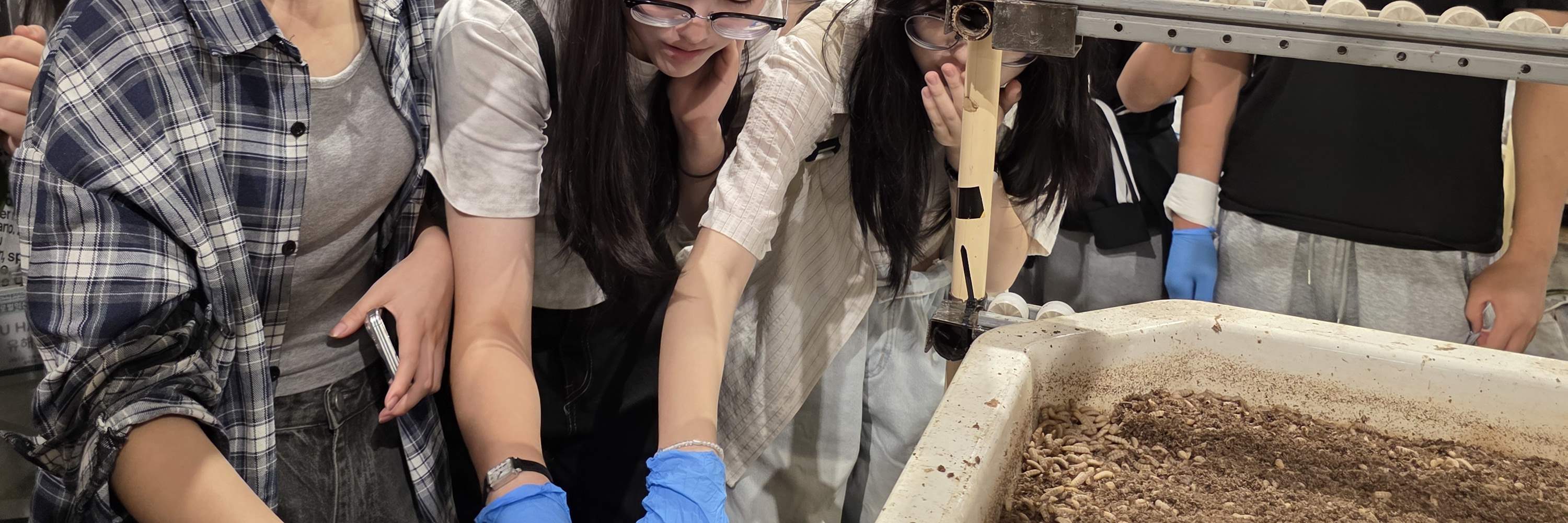 Singapurs größte Tour zur Black Soldier Fly Farm