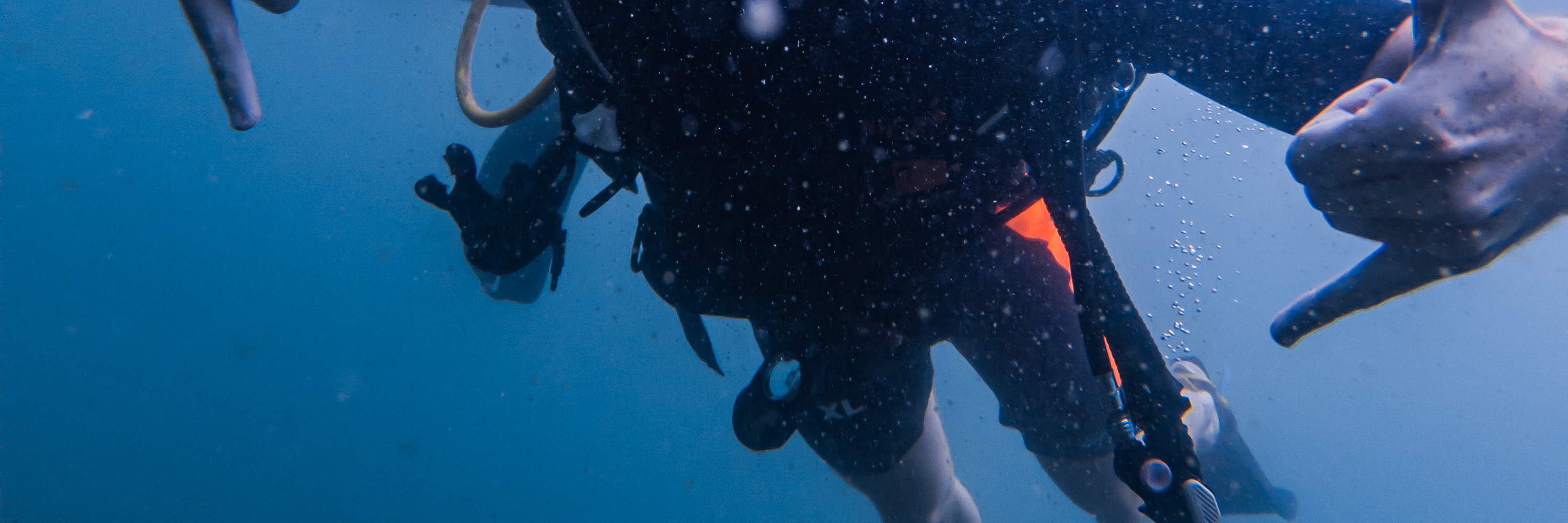 Experience the Thrill of Scuba Diving in Koh Kood with our PADI 5 Star Experience the Thrill of Scuba Diving in Koh Kood with our PADI 5 Star