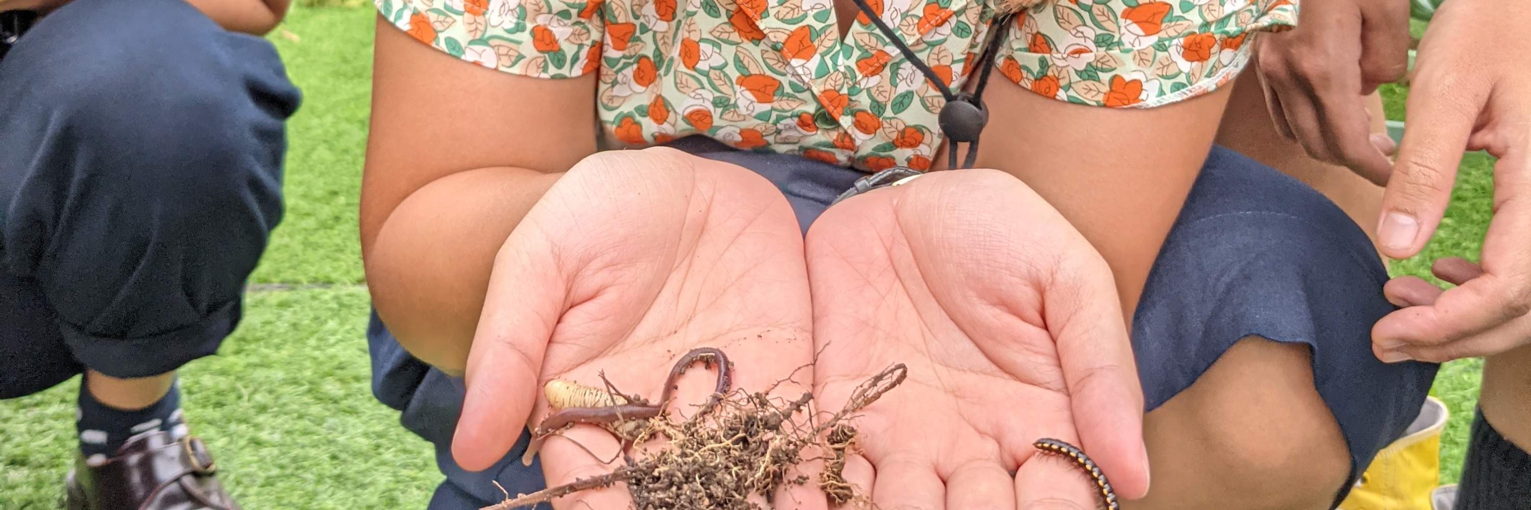 Earthworm Encounter and Worm Composting Experience