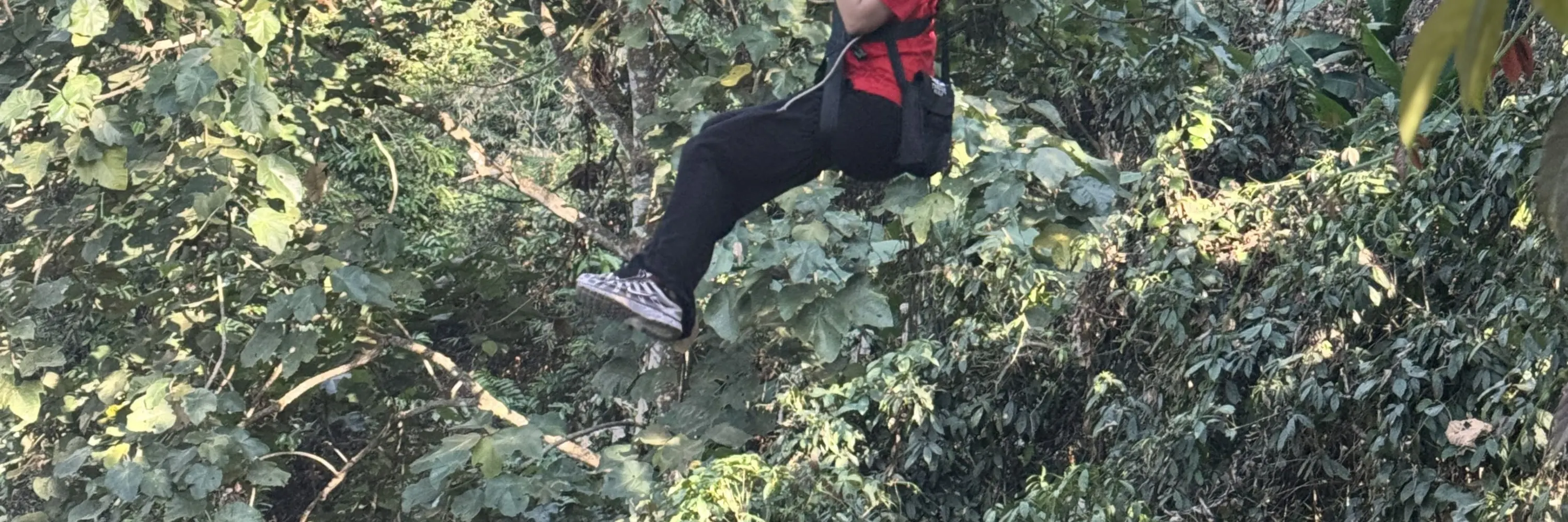 系好安全带，走下来，让丛林美得令人窒息！#ZiplineAdventure