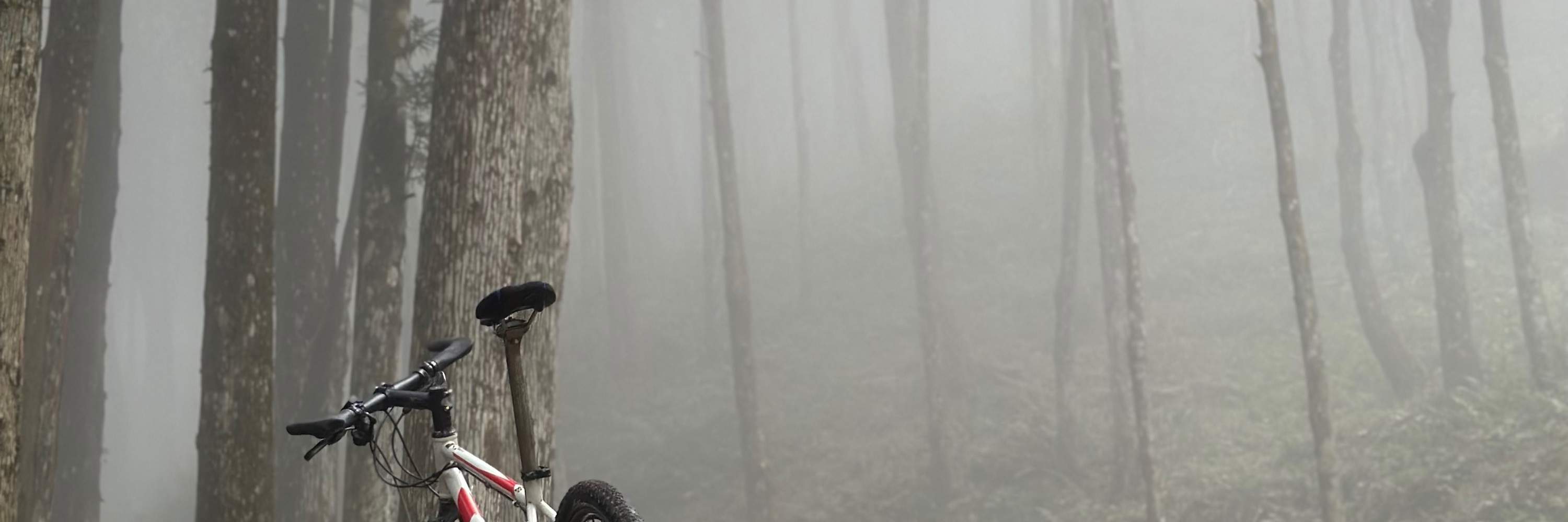 新竹五峰: 羅山林道 - サイクリング