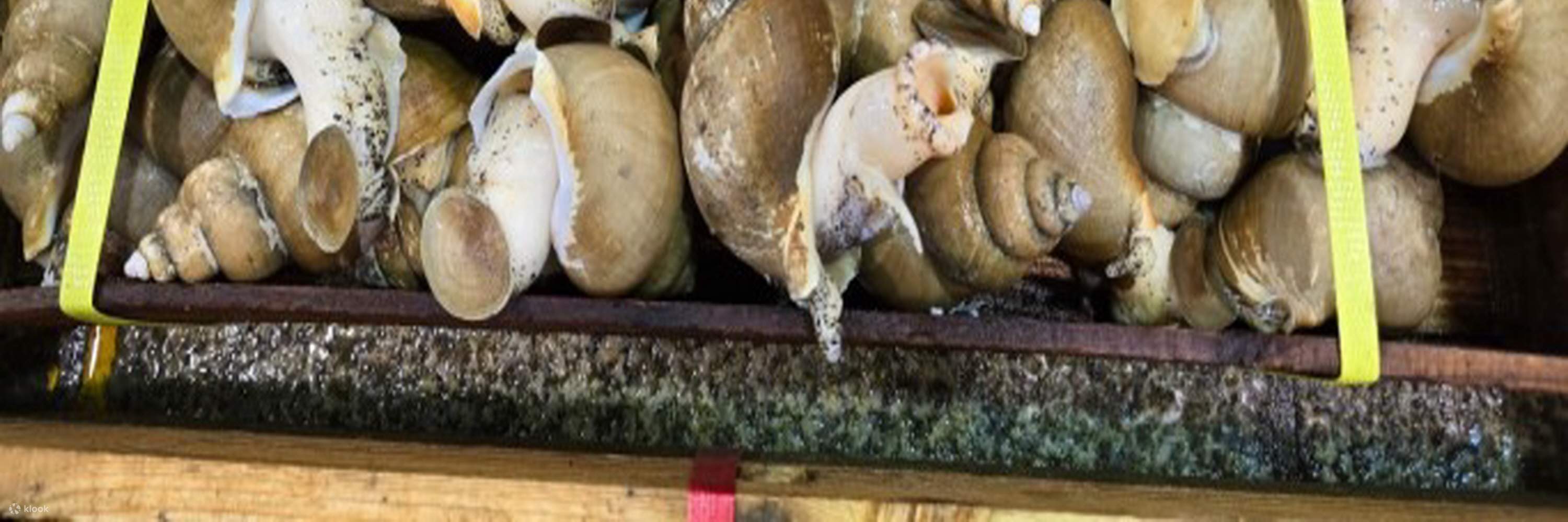 Marinated Sea Snail by Soy sauce