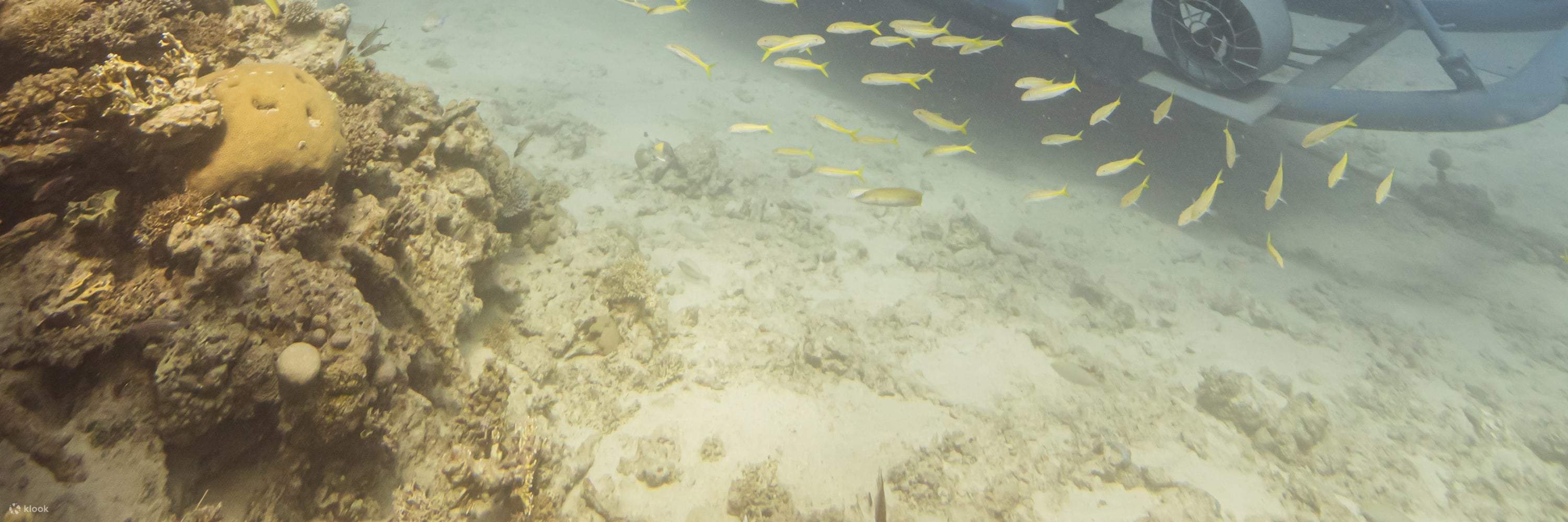 シンドバッド潜水艦