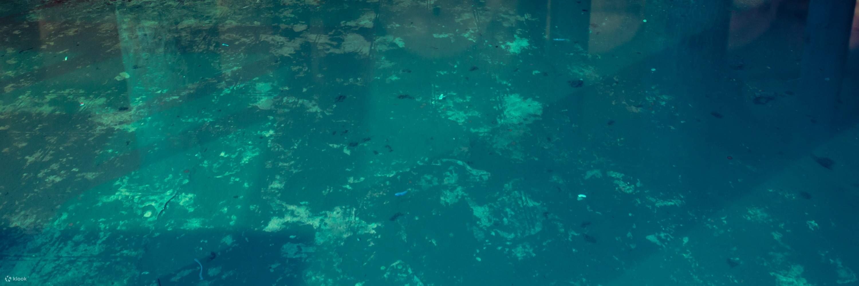 Hagia Sophia und Basilica Zisterne Ticket ohne Anstehen