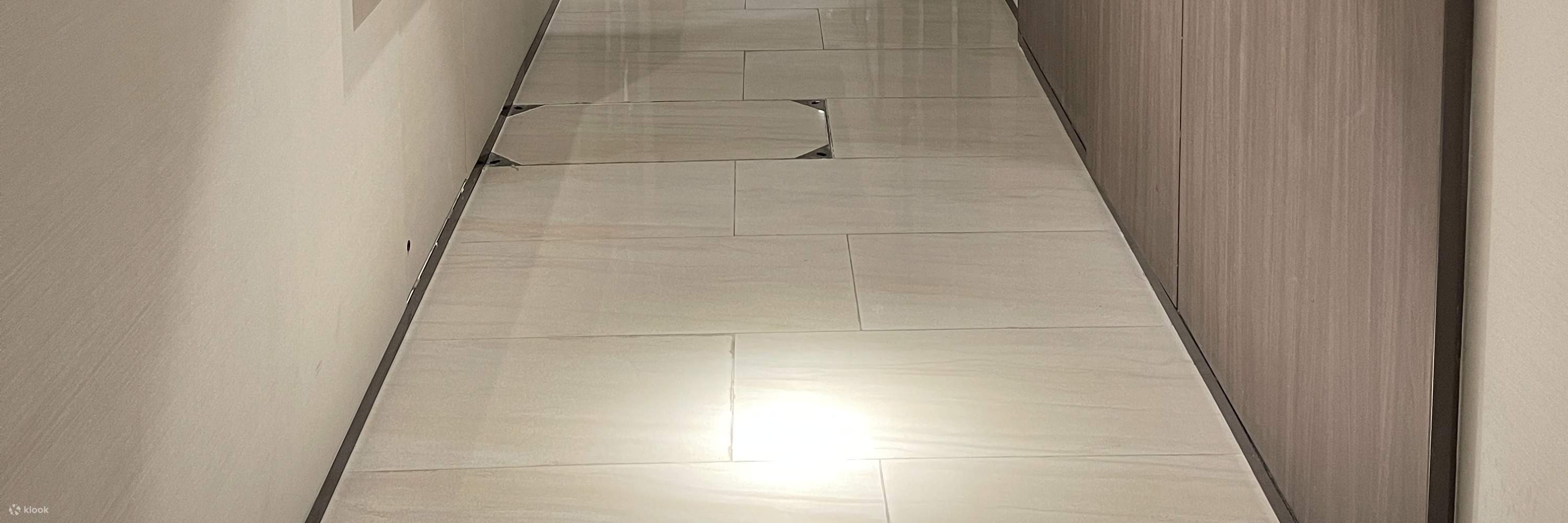 T’art Studio - Japanese White Ceramic Fluid Lucky Cat Experience Workshop | Lai Chi Kok