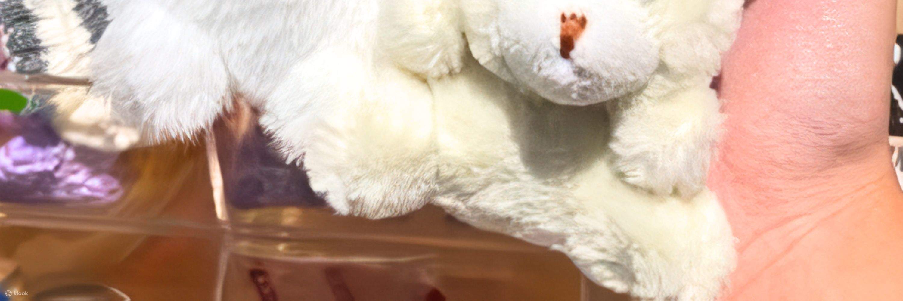 Xưởng làm thú cưng búp bê