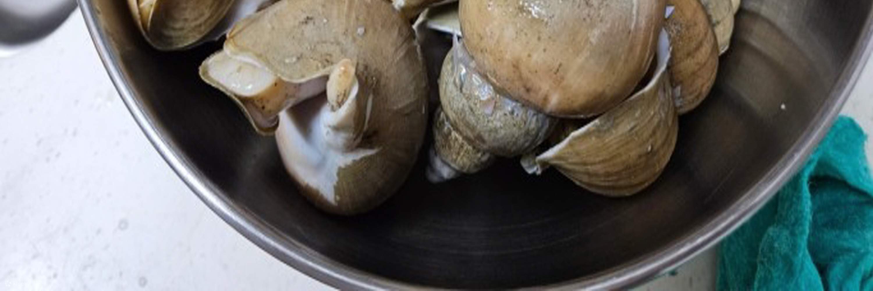 Caracol de mar marinado en salsa de soja