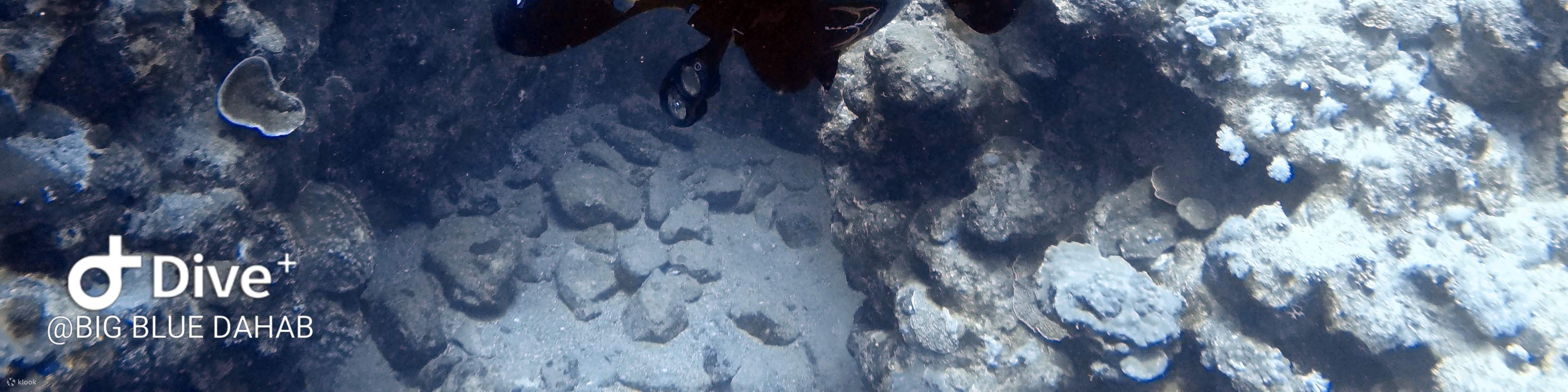 PADI 어드밴스드 오픈 워터 다이버