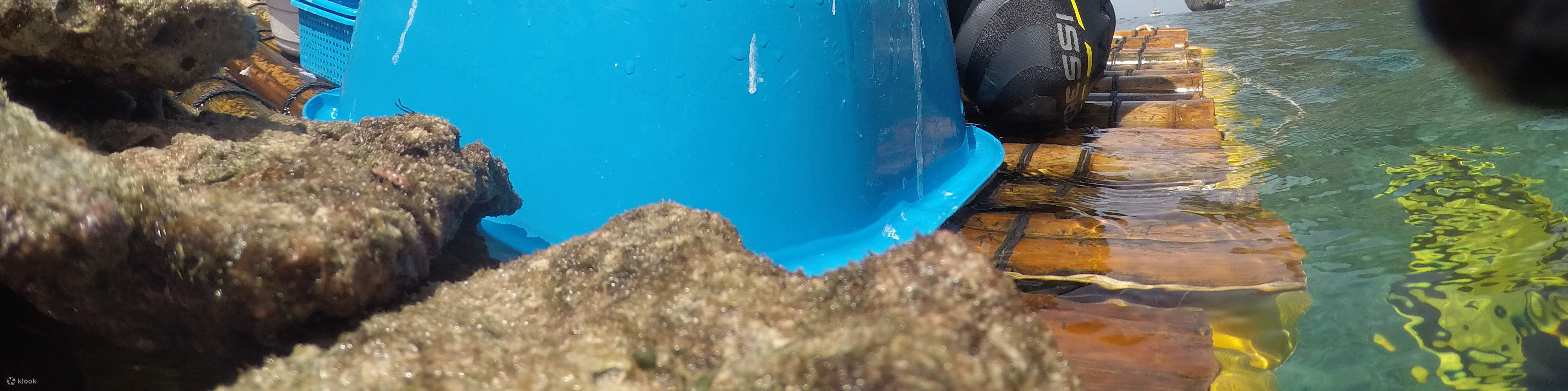 Ocean Quest Naturschutz-Tauchpaket