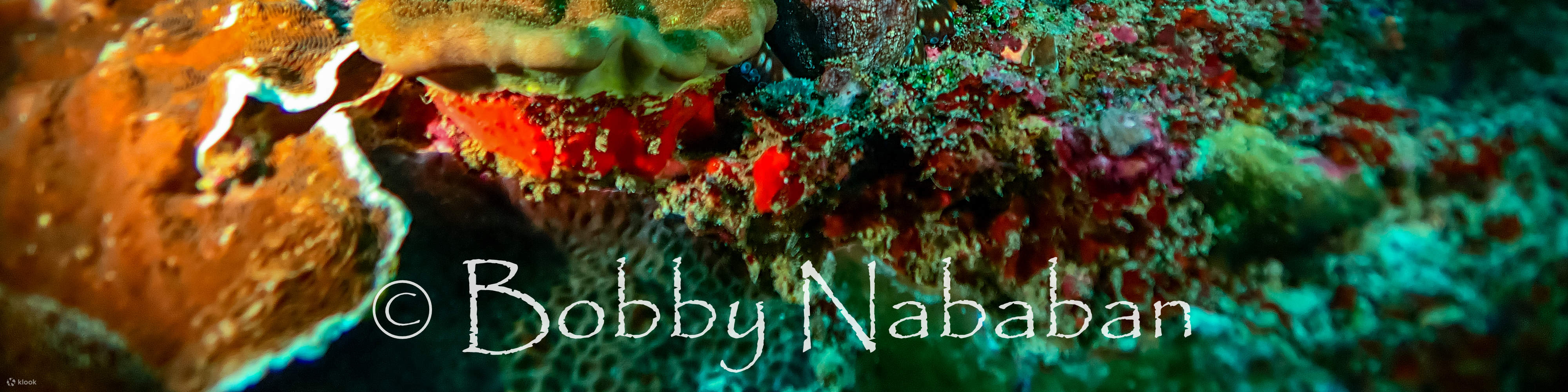 PADI Advanced Open Water Diver