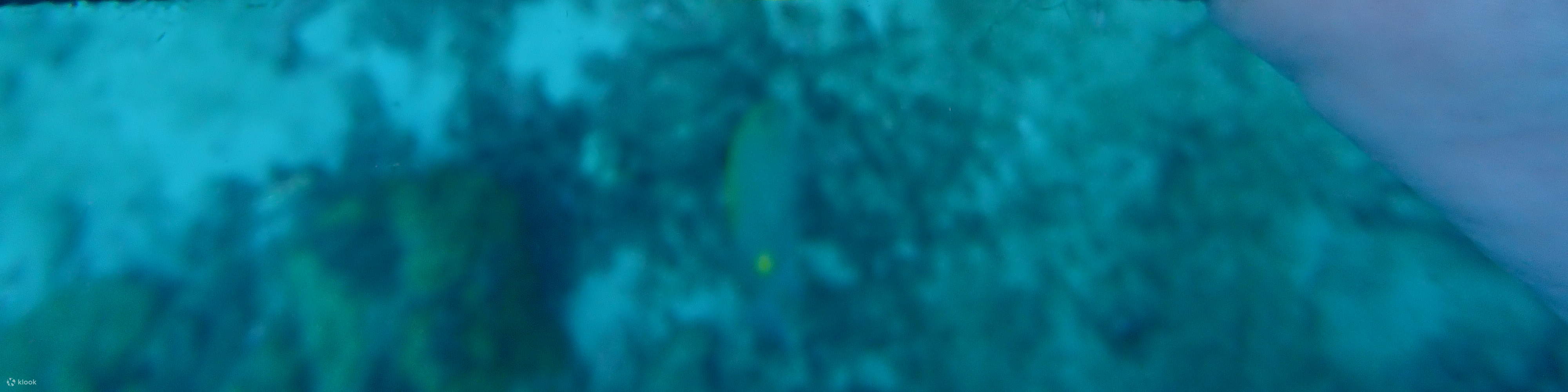 PADI Enriched Air Diver