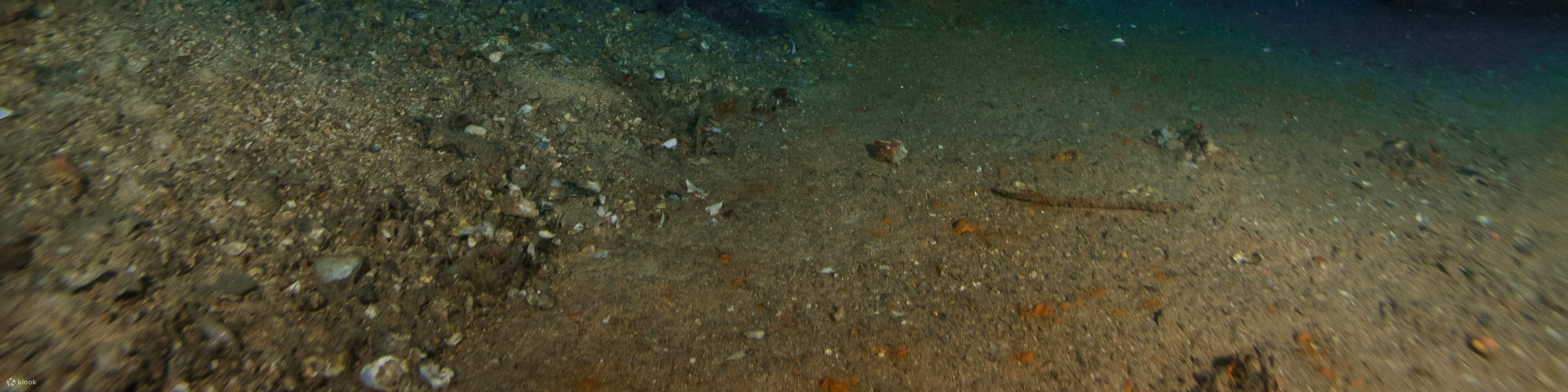 PADI 어드밴스드 오픈 워터 다이버