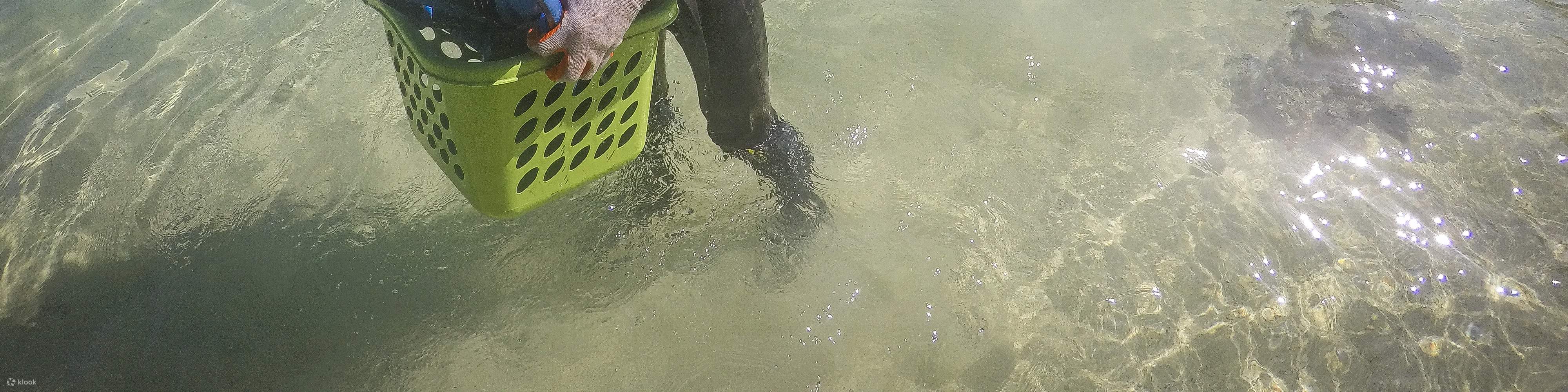 Ocean Quest Naturschutz-Tauchpaket