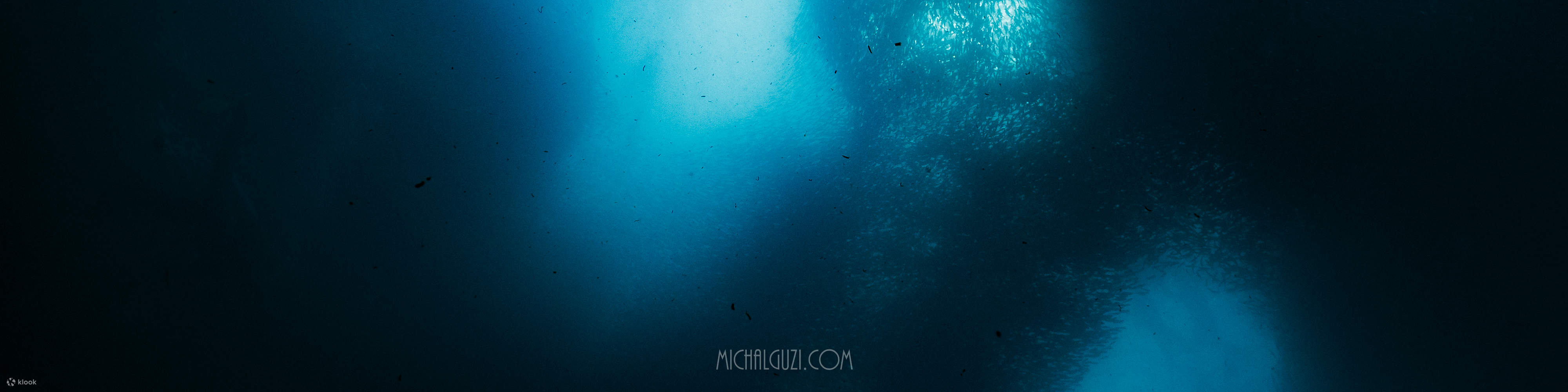 Захватывающее погружение во время Сардиновой миграции - Погружение с лодки с 1 баллоном